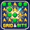 Grid and Bits