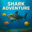 Shark Adventure